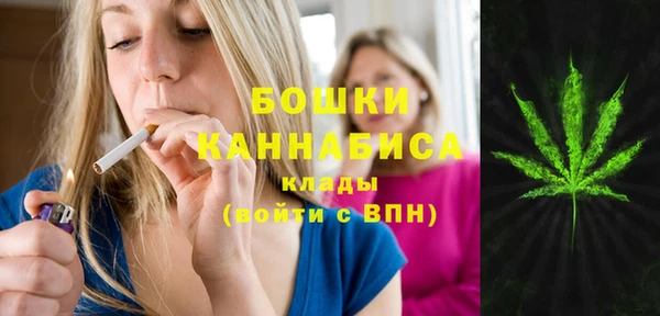 мдпв Дмитров