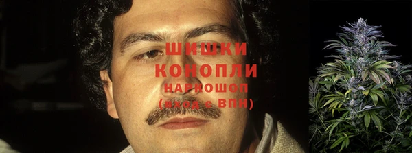 мдпв Дмитров