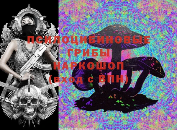 мдпв Дмитров